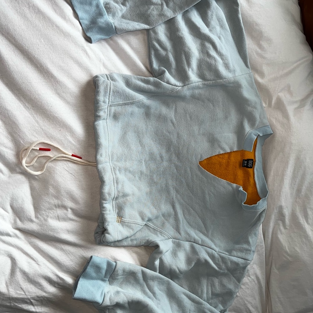 Cropped hoodie from urban outfitters